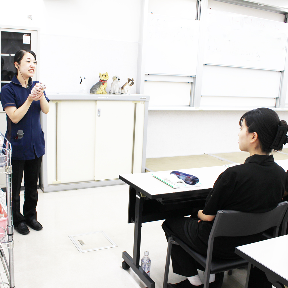子犬と一緒に犬学を勉強！
